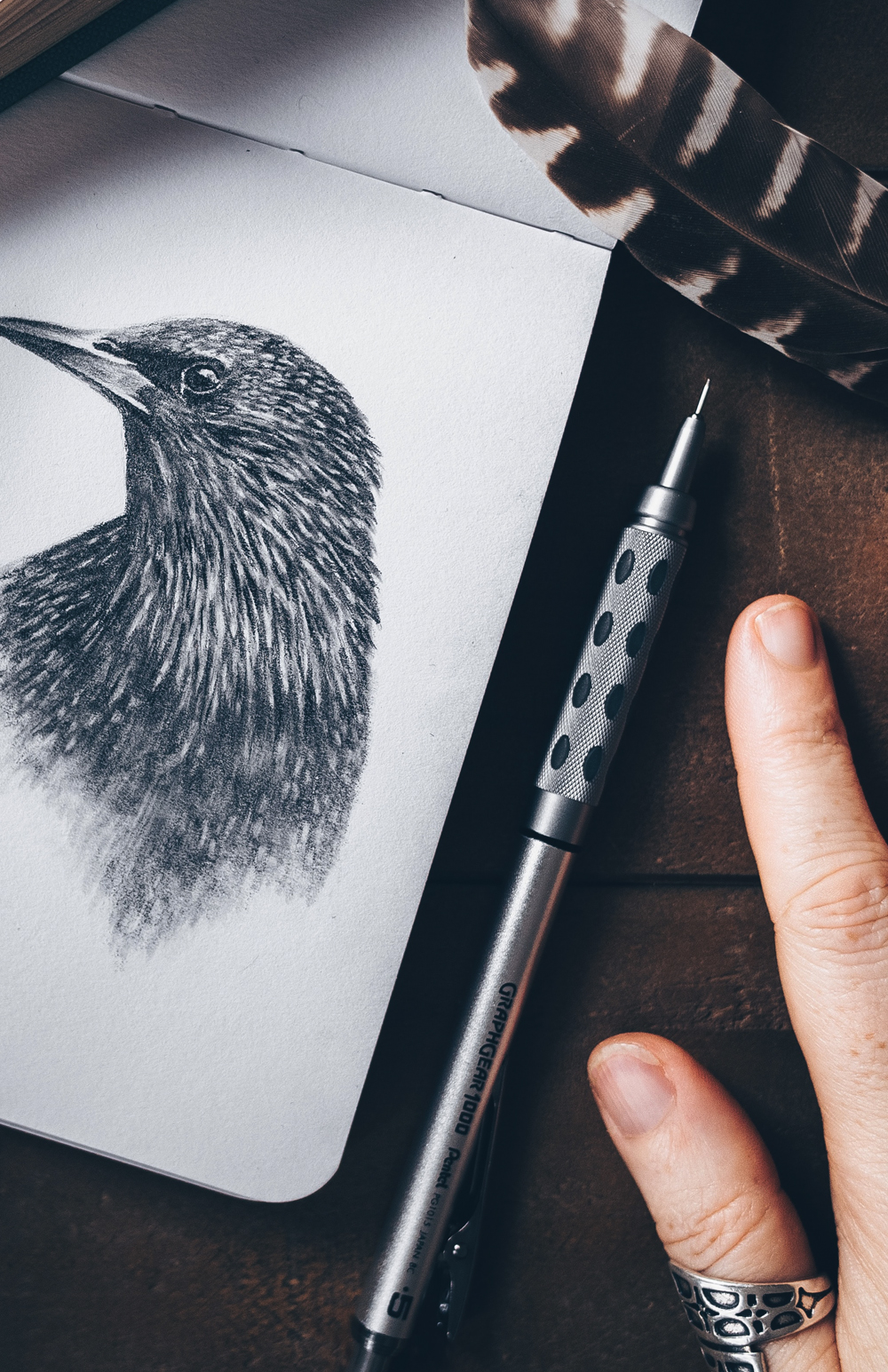 PG1015 styled drawing bird GraphGear PG1015